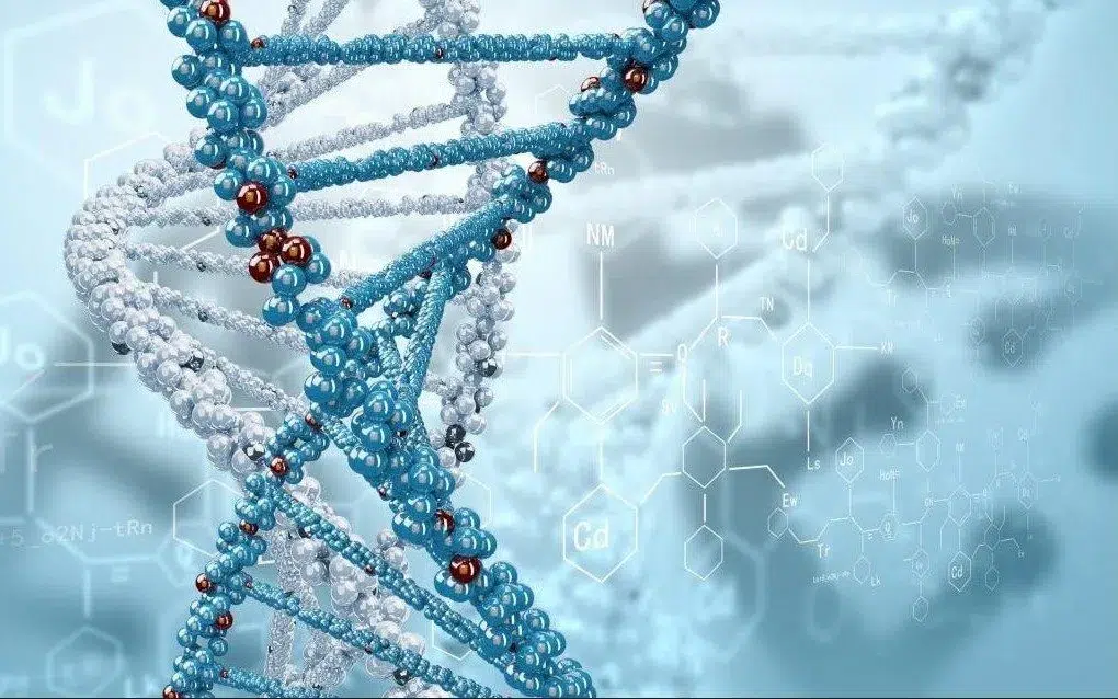 NMN-supplement en DNA-string