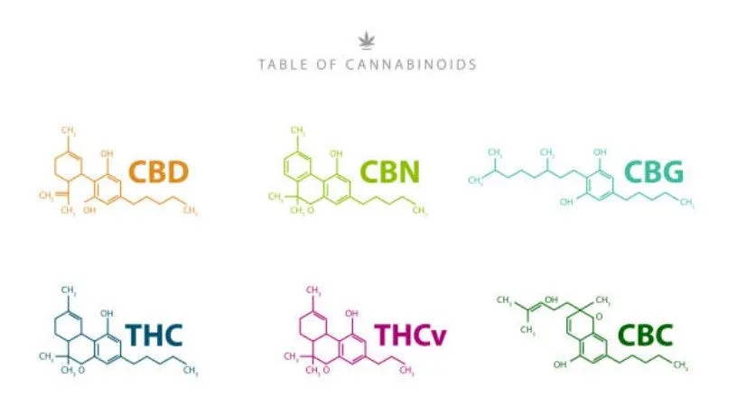 Over cannabis en hennep - vele soorten oliën