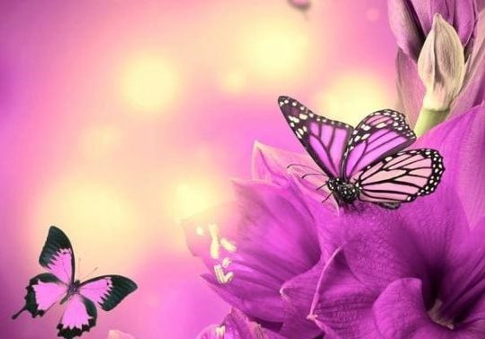 Foto bij Ervaringen met Spiritueel Healen, Gerankmediums